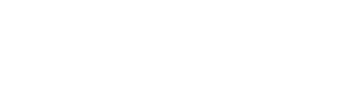 Casiny Casiny cazino logo